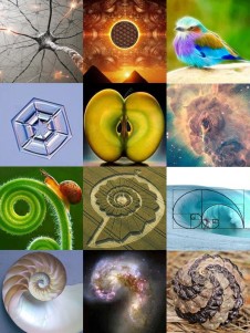 sacred-geometry-collage